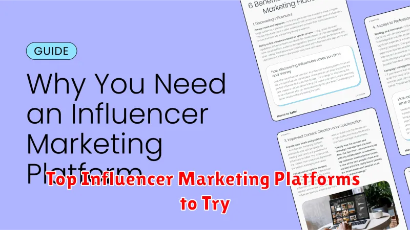 Top Influencer Marketing Platforms to Try